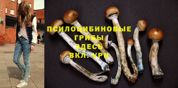 мескалин Алексин