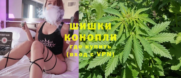 индика Алексеевка