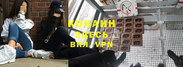 индика Алексеевка