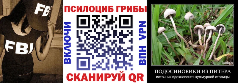 Псилоцибиновые грибы GOLDEN TEACHER  дарк нет телеграм  Курлово  где найти  